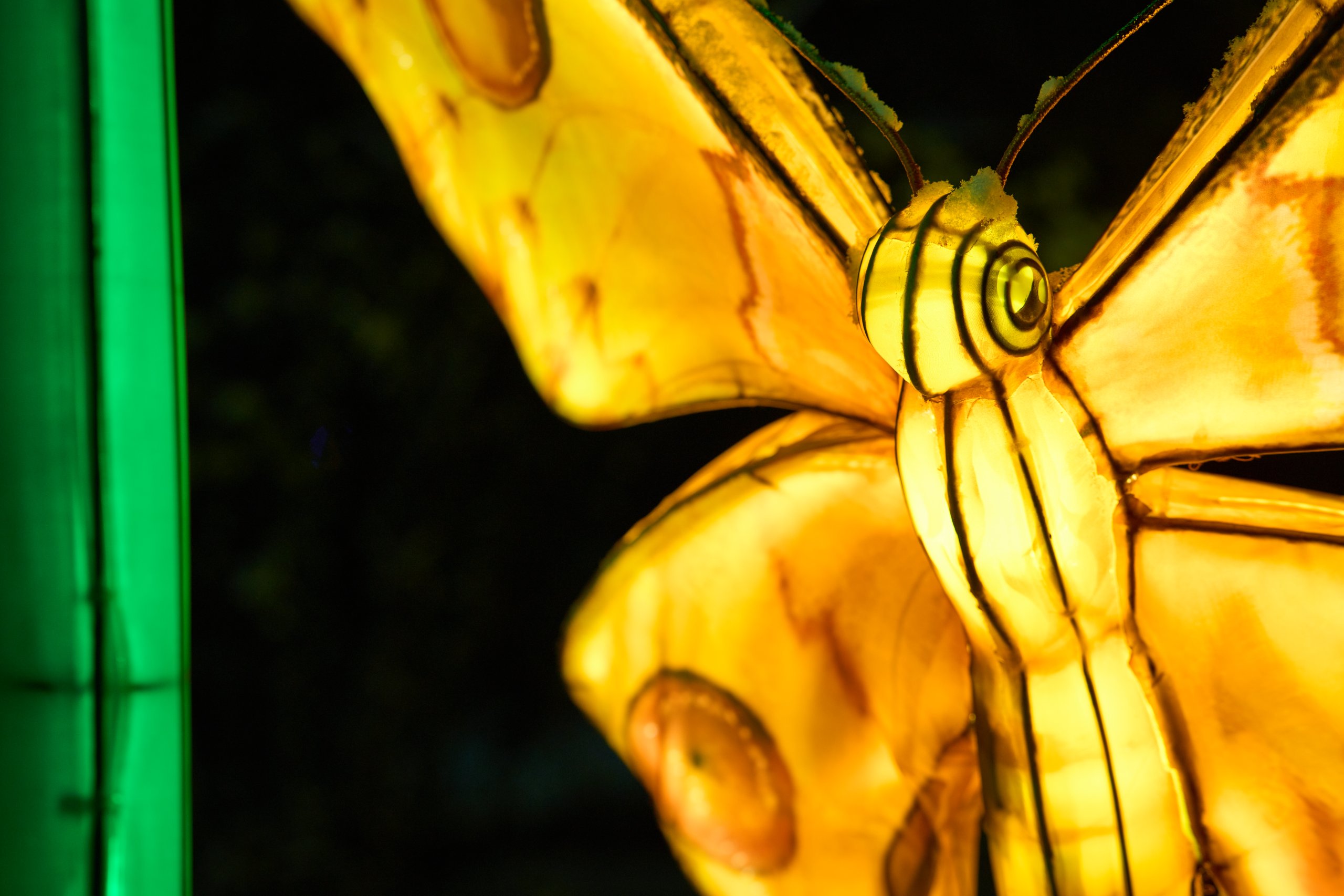 2026 01 05 China Lights 0045